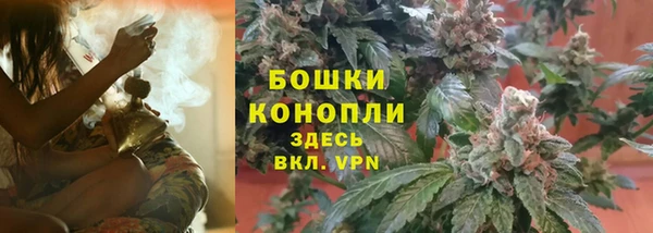 ГАЛЛЮЦИНОГЕННЫЕ ГРИБЫ Баксан