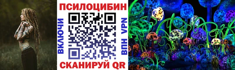 Псилоцибиновые грибы MAGIC MUSHROOMS  купить наркоту  Сосновка 